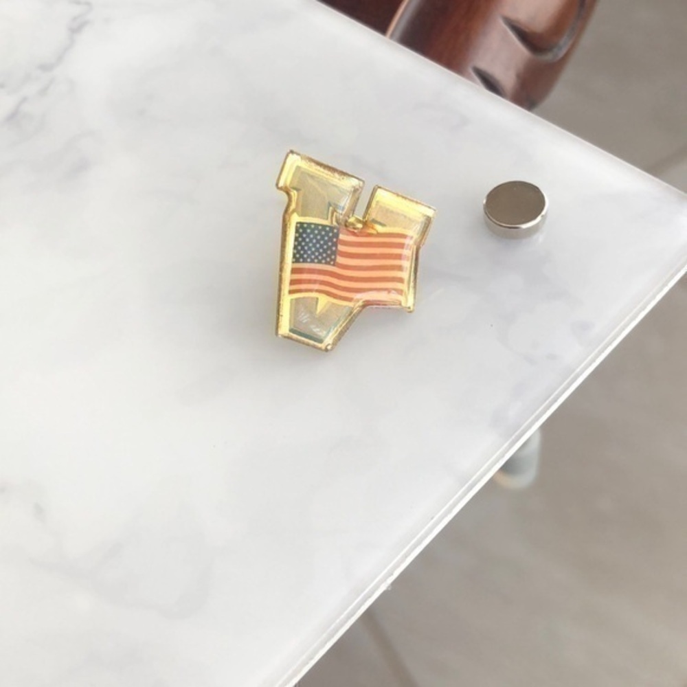 Vintage Letter V Pin